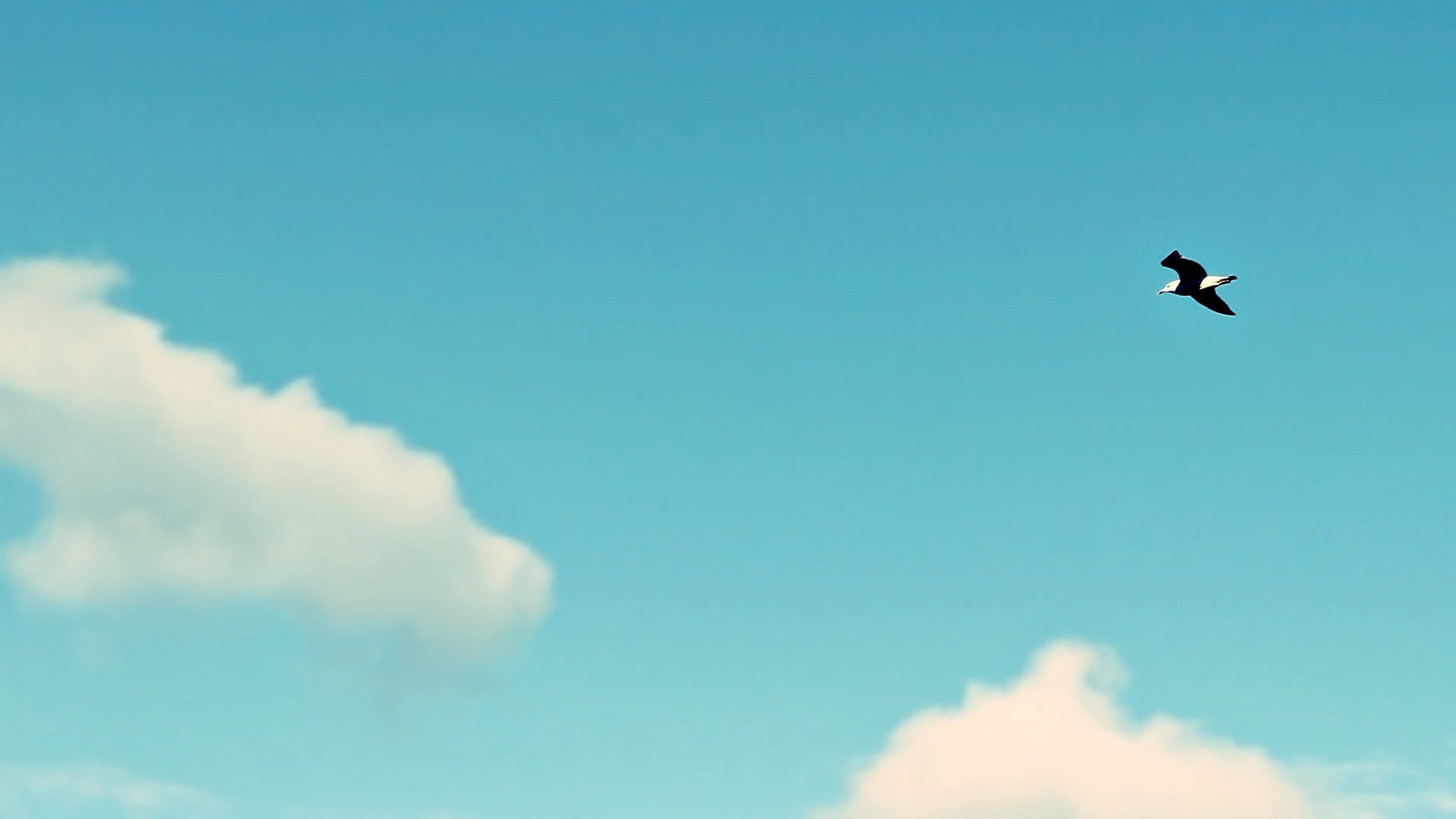 ������ľ��Ů�����ֵ�������Щ ľ���Ե�Ů�����ִ�ȫ��