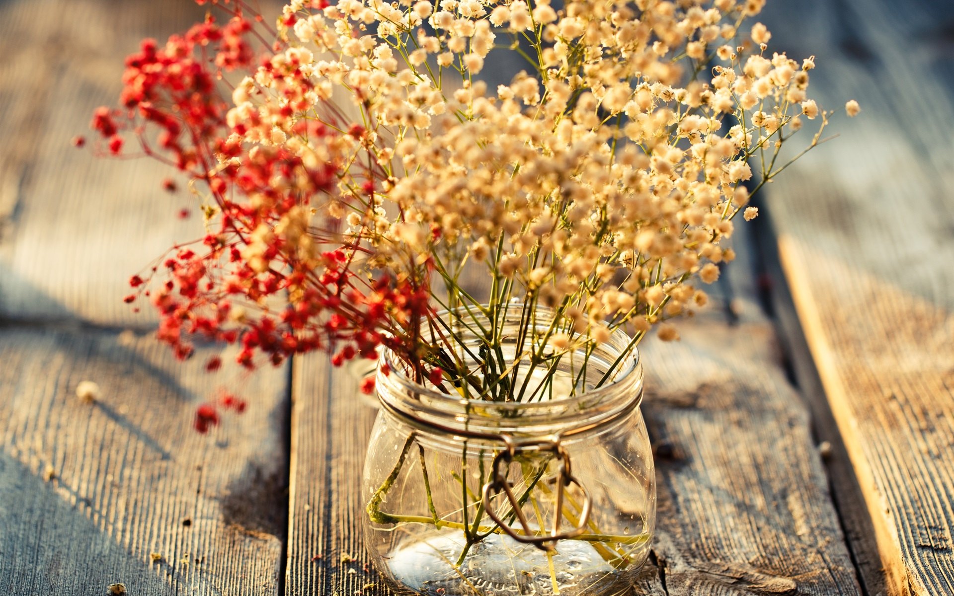 �����������ʵ�Ů������ ���Ļ���Ϣ��Ů�����ּ���