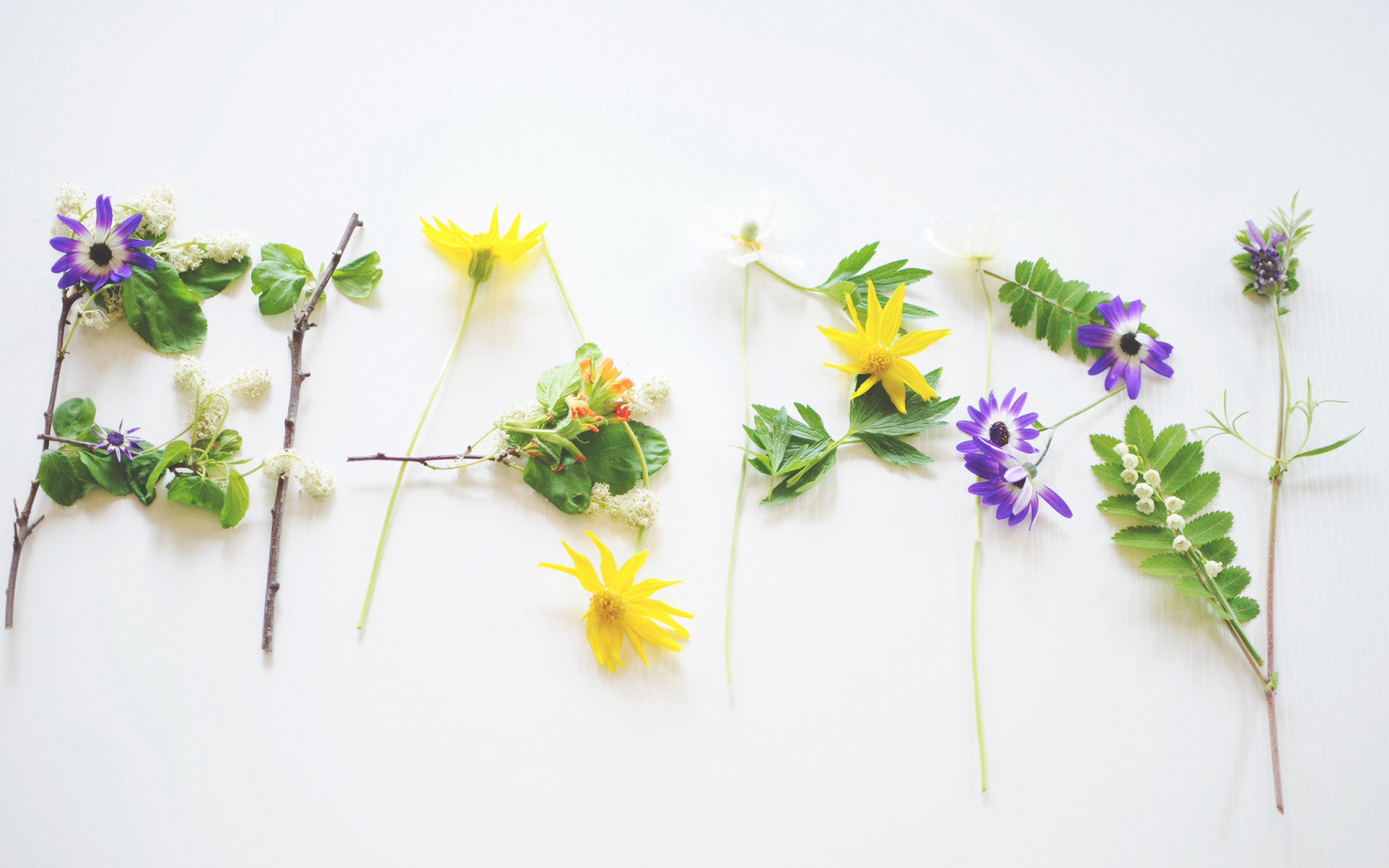 ����ȡ��Ů����������ЩԢ�� 2021�����ֵ�Ů����������