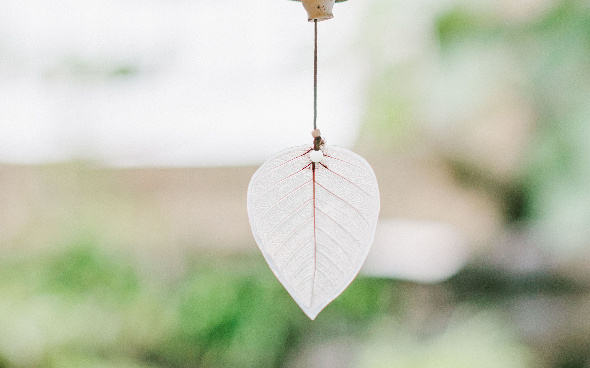 Ԣ��ô����������к������� �к��������ŵ����ּ���