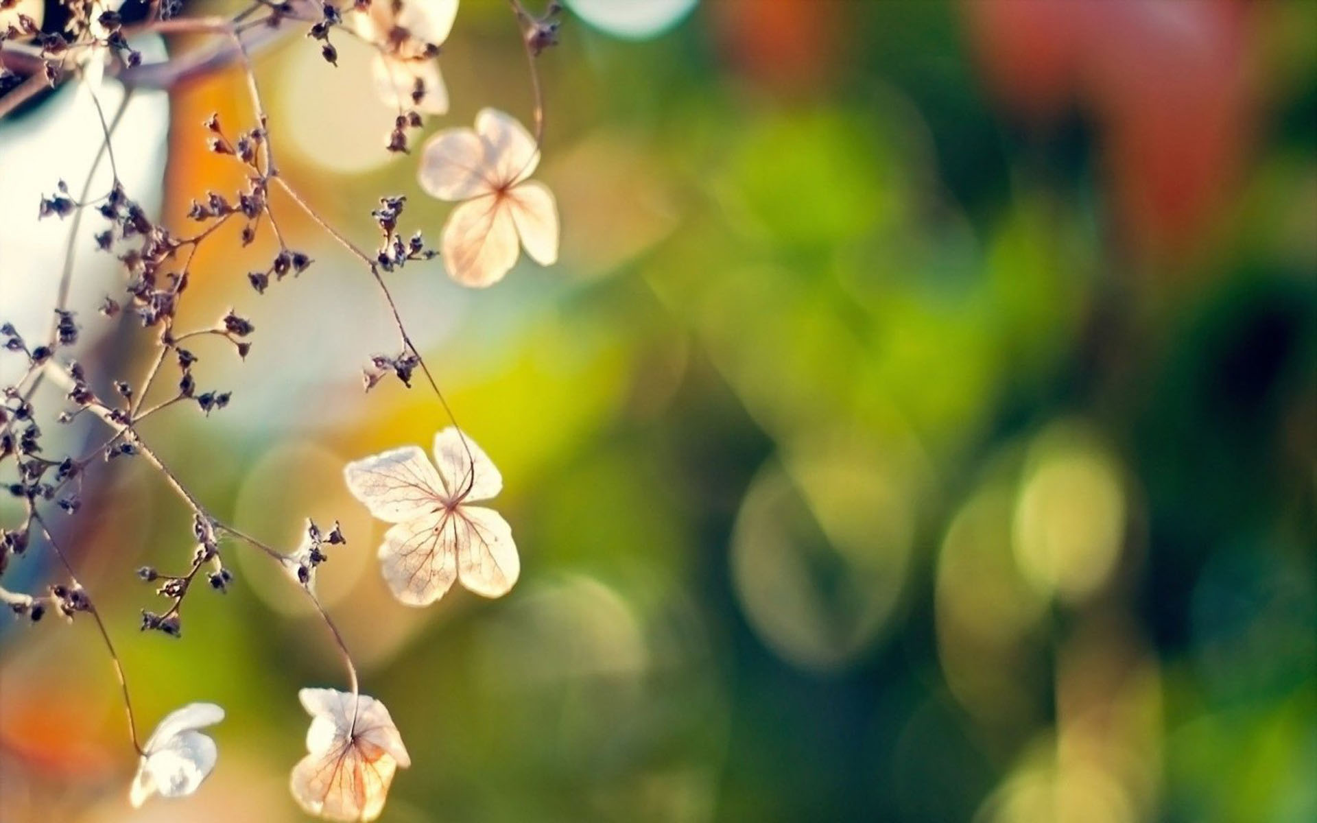 �����б���ȡʲô���ֺ� ��������߷��к����ִ�ȫ