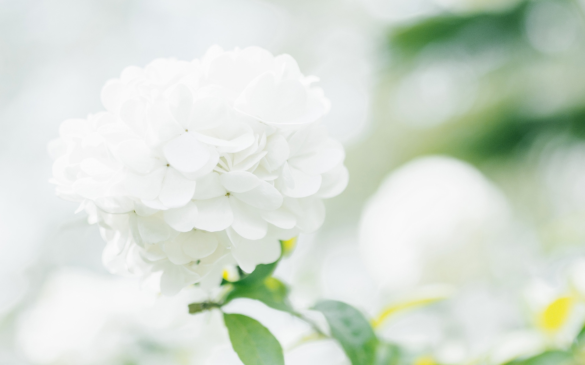 �ջ�Ů��ȡʲô���ֺ��� �ջ���ʫ�������Ů������