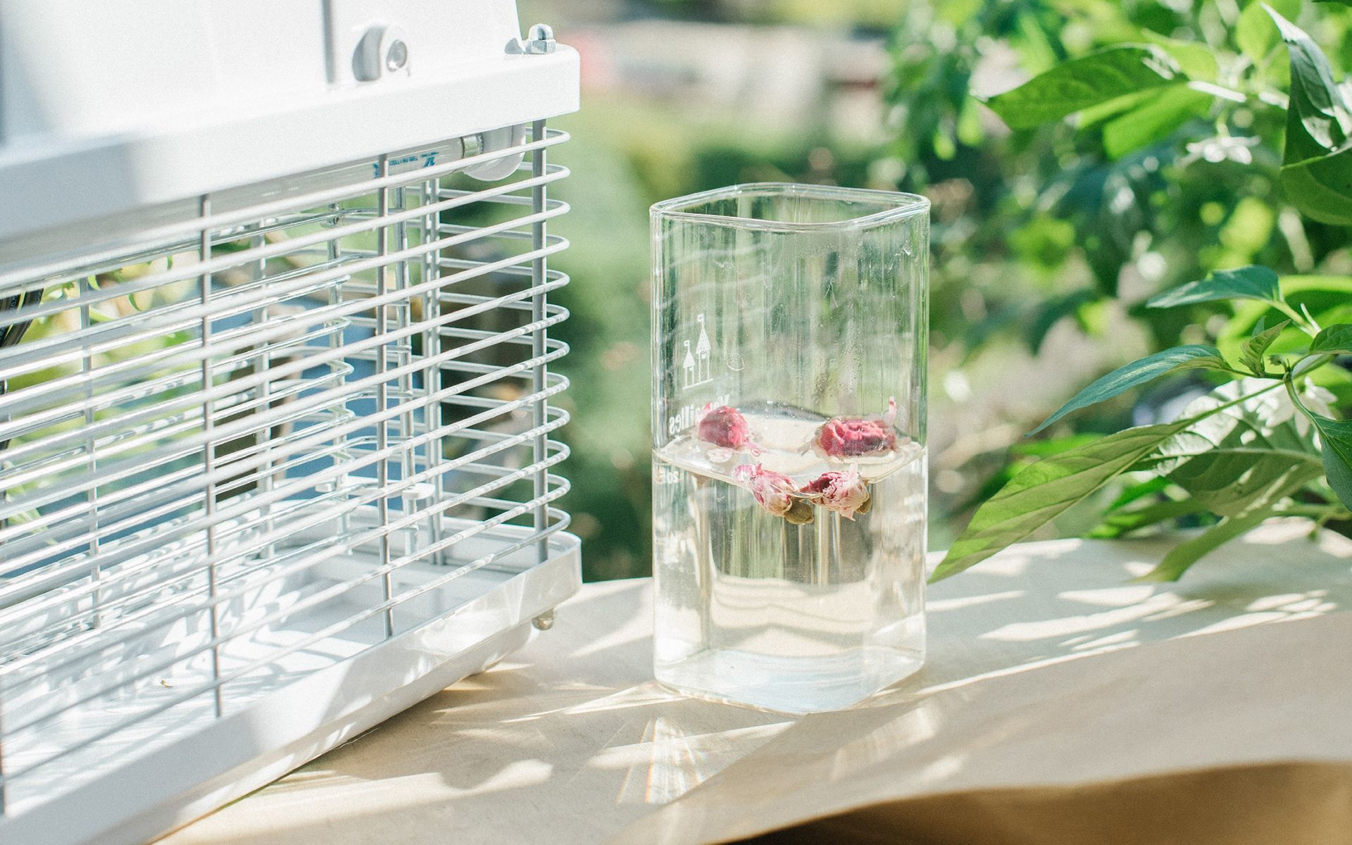 Ԣ�ⰲ���º͵��к����֣����ᵽ���µ���������