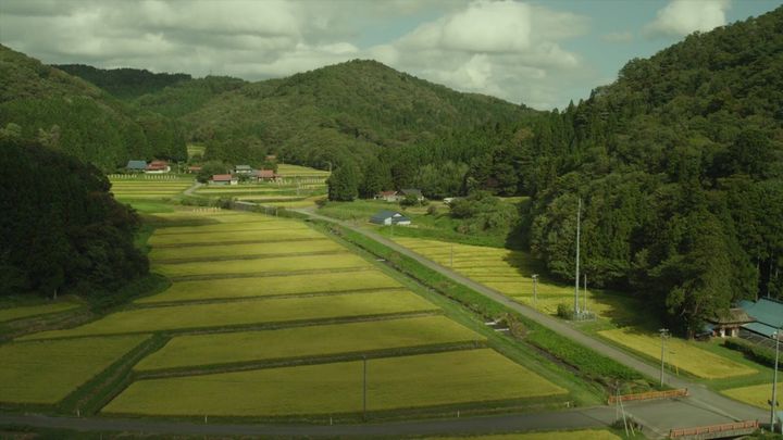 ���Ļ��ں��ָ��ŵ��к����֣��Ƚ����ŵ��к����־�ѡ