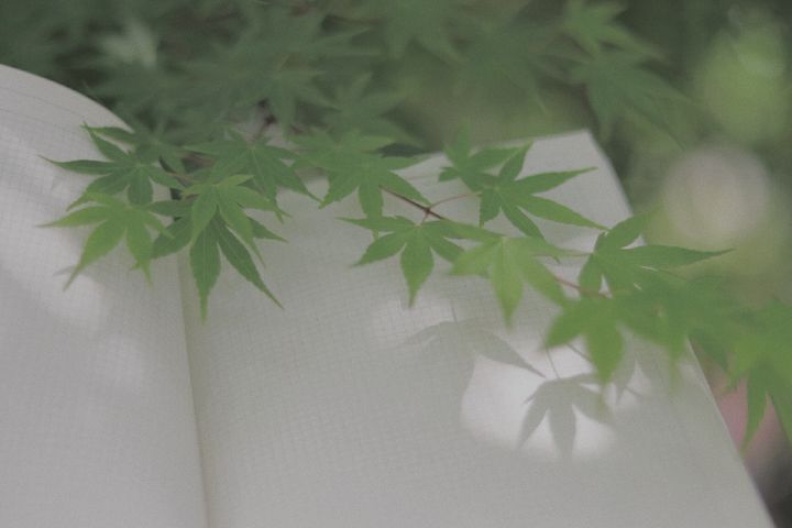 ����Ů�����ּ򵥺�����Ů�����������ʵ����־�ѡ