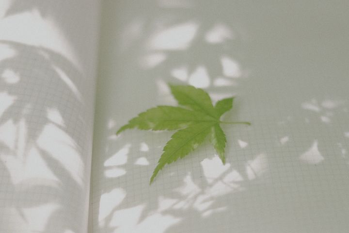 �����պ�ȡʲô���ֺ����������к�ȡ���ִ�ȫ��