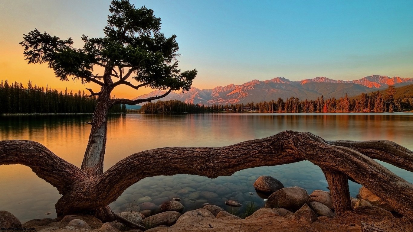 ����Ů�����ֺ���ʱ�ж����� ����Ů���к��������ִ�ȫ