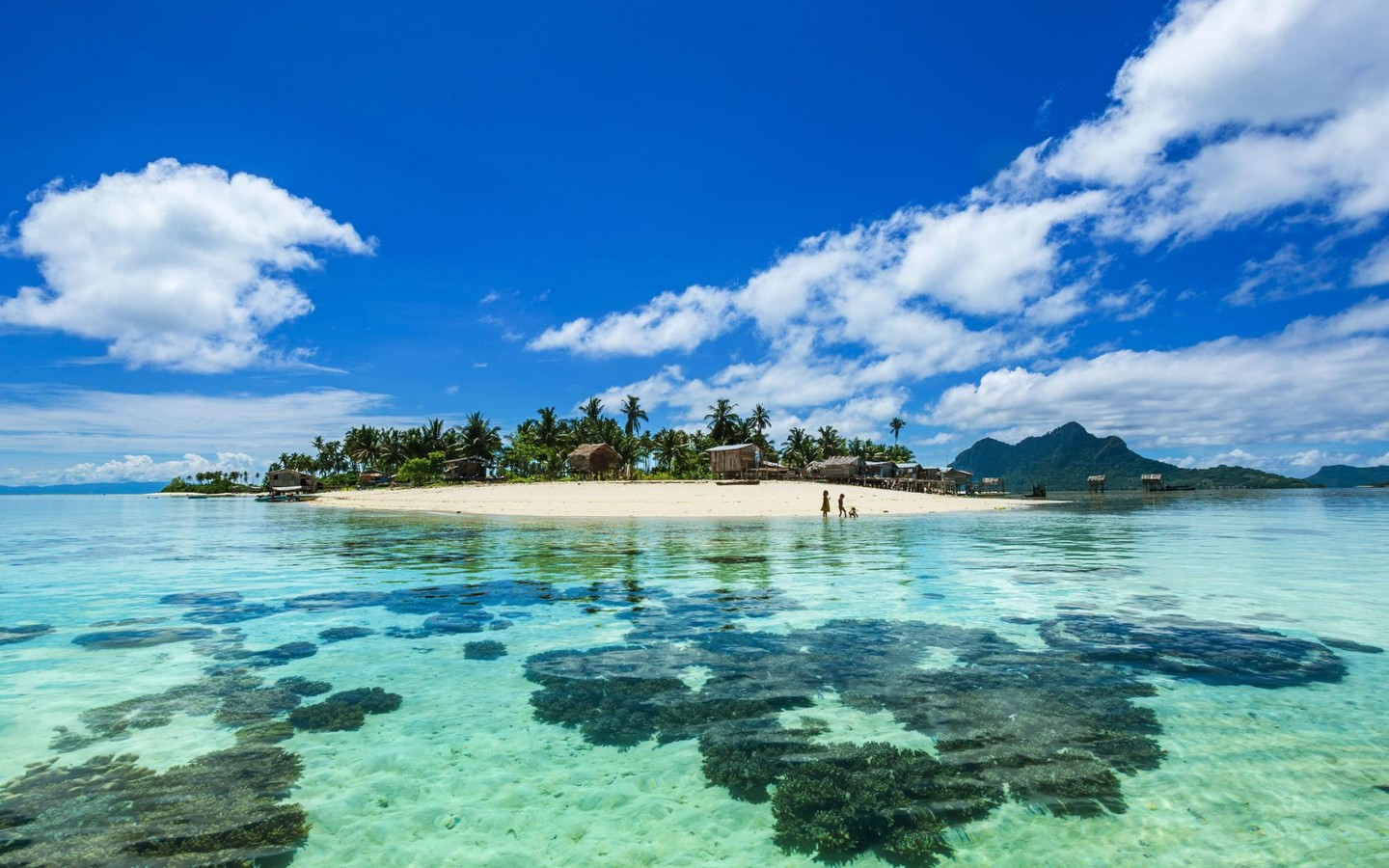 100�ֻ���Ů�����ִ�Ԣ��� �ջ���ţ�������Ů������