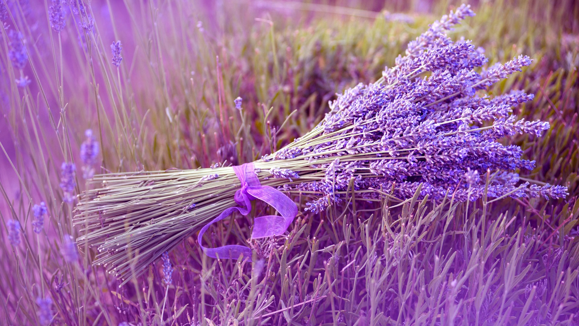 ������������Ů������ ����Ů����ʫ������ּ���