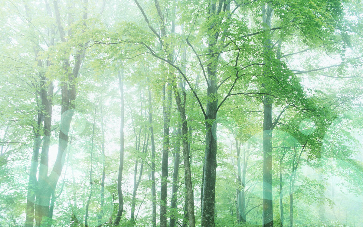 �к�����Ӳ����������ţ 2021�к������к��������ִ�ȫ