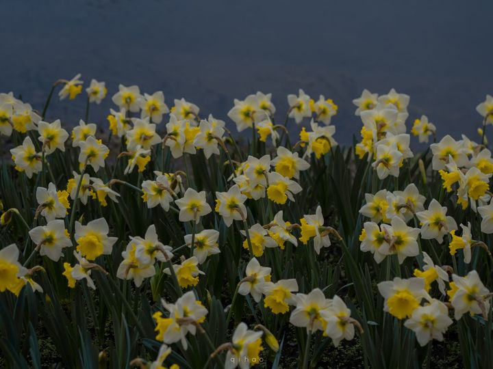  �к���ȡʲô���ֱȽϴ��������ȴ������к����־�ѡ