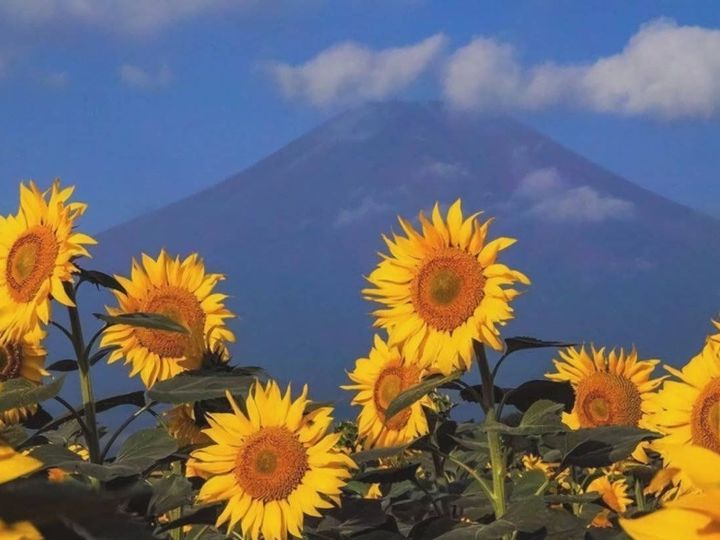 �պ����к�ȡʲô���ֺã��պ��к�Ԣ��õ�����