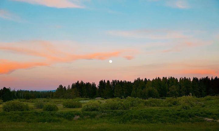 ϣ���������������ĵ����֣��к��к���������������