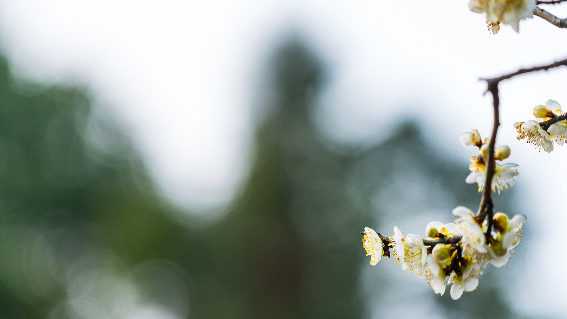 ���ն�����ӱ���к����� �հ�100�ֵ��к�����