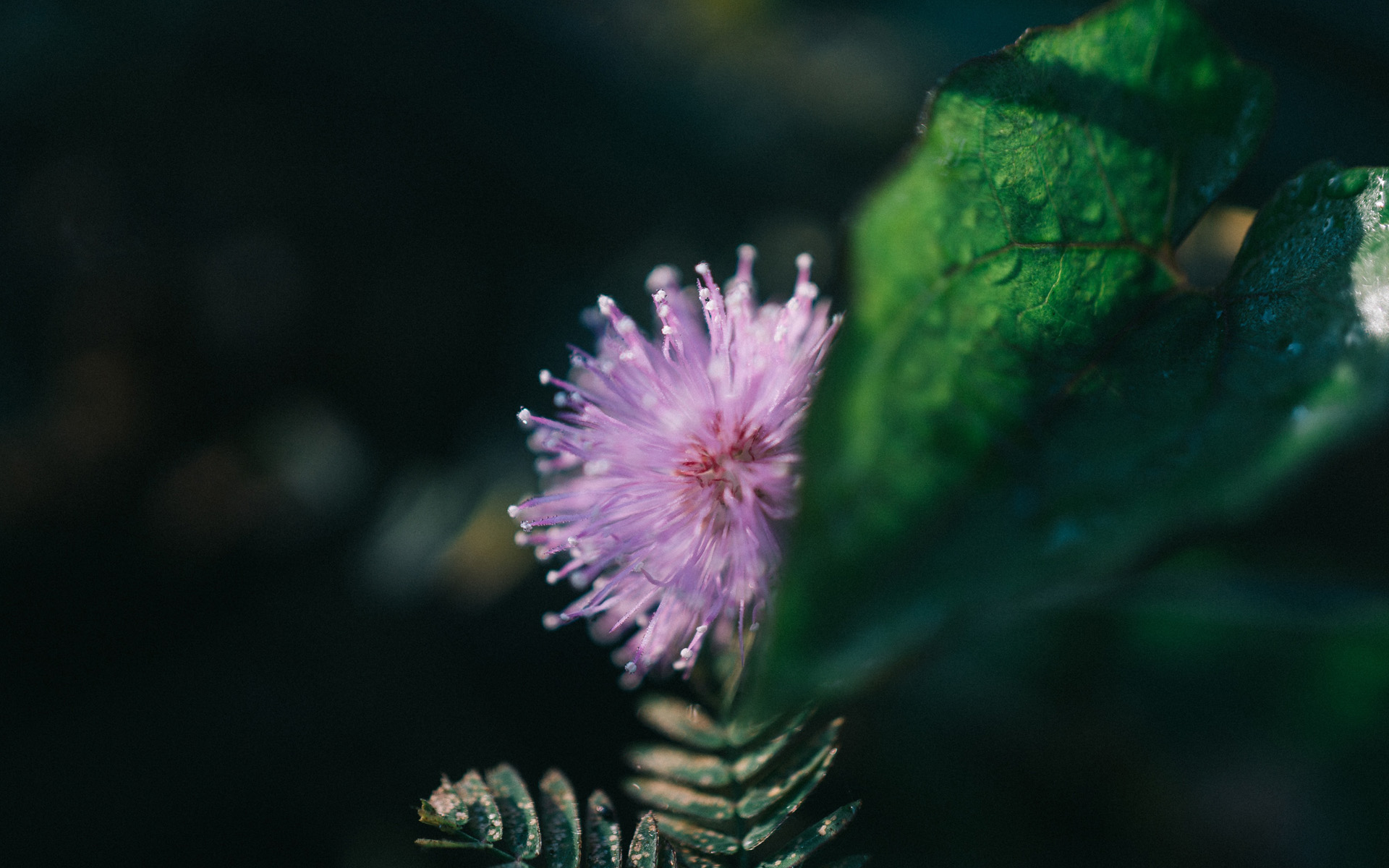 ���������ĵ�Ů��������ôȡ ����Ů������ϡ�ٵ����ּ���