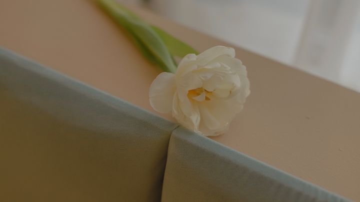 ��诵�Ů������Ԣ��������ʲô����诵�Ů�����ִ�ȫ