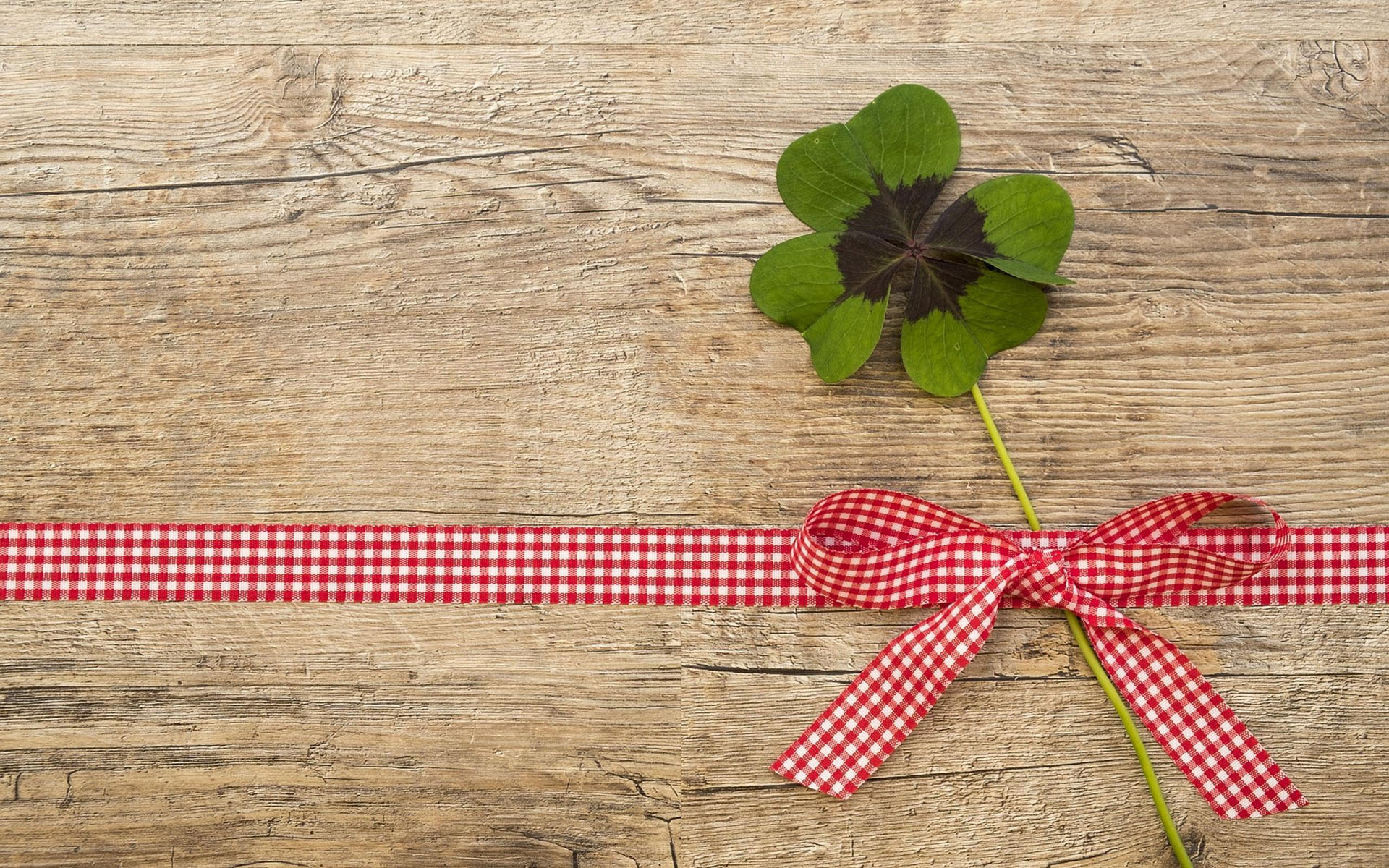 ������к���ʲô���� ��ţ�����к�������100�ֵ�����