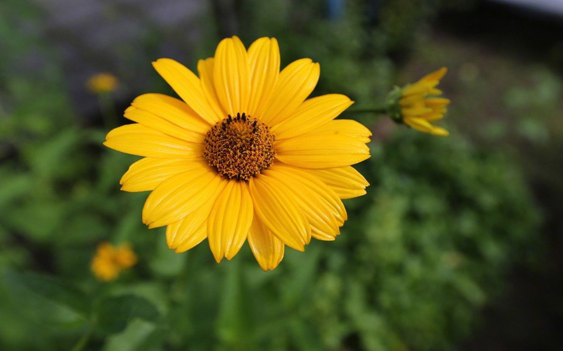 �������к������к��������� 100�������к������ִ�ȫ