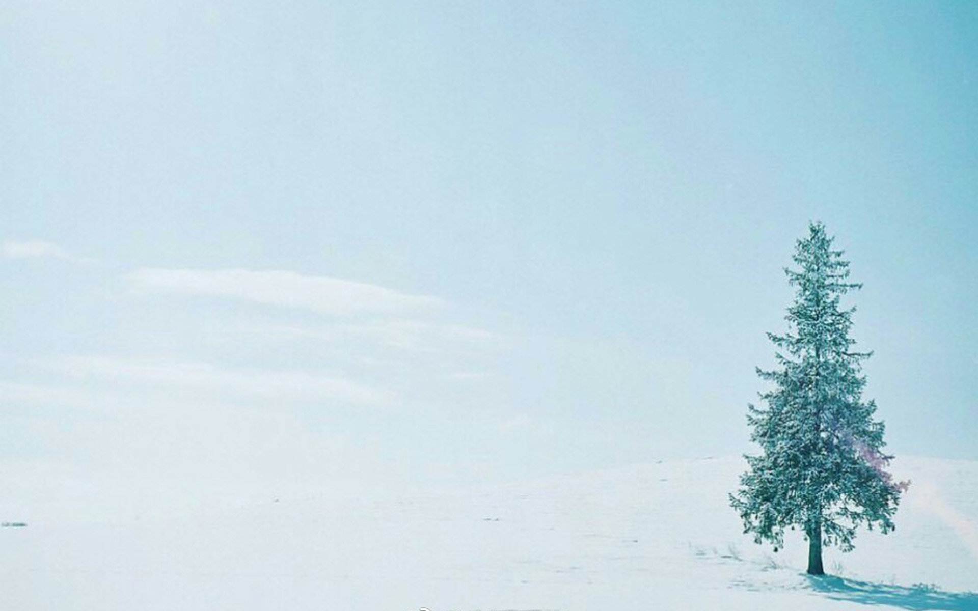 ����Ů��������������Ԣ�� 2021��������Ů�����ִ�ȫ