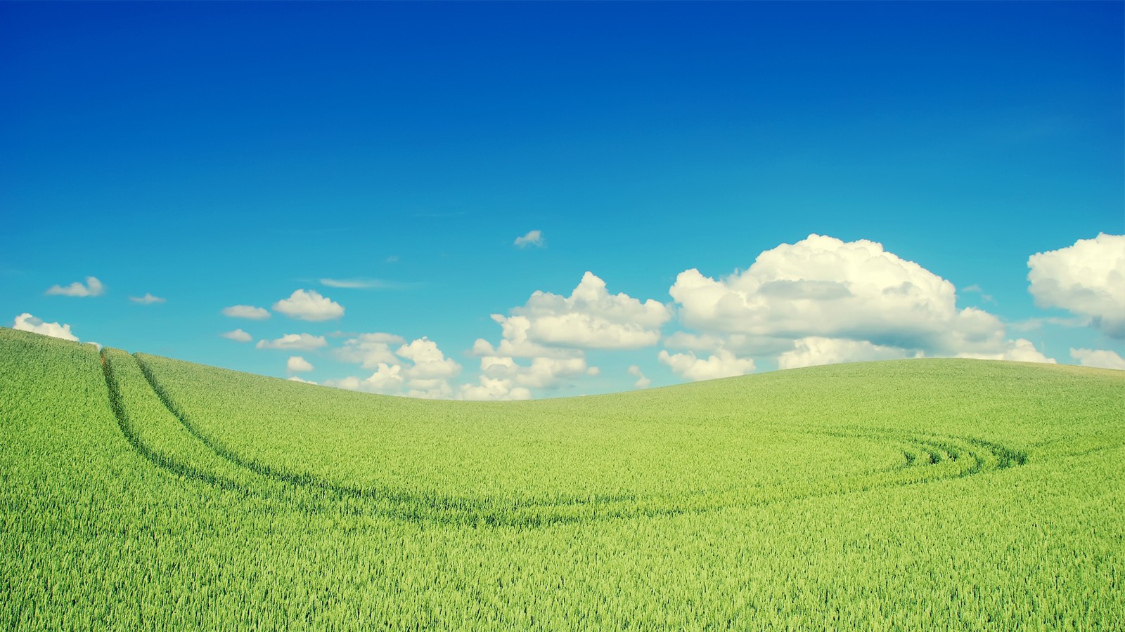 ʫ���Ů�������ִ����� ����Ԣ������ŵ�Ů������