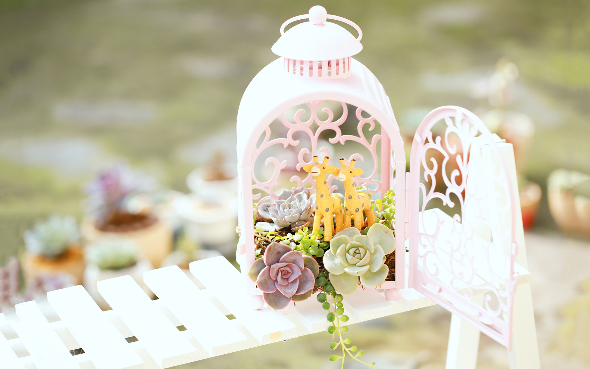 ����Ů��Ψ��Ԣ��õ����� ����Ů��100�ֵ�����