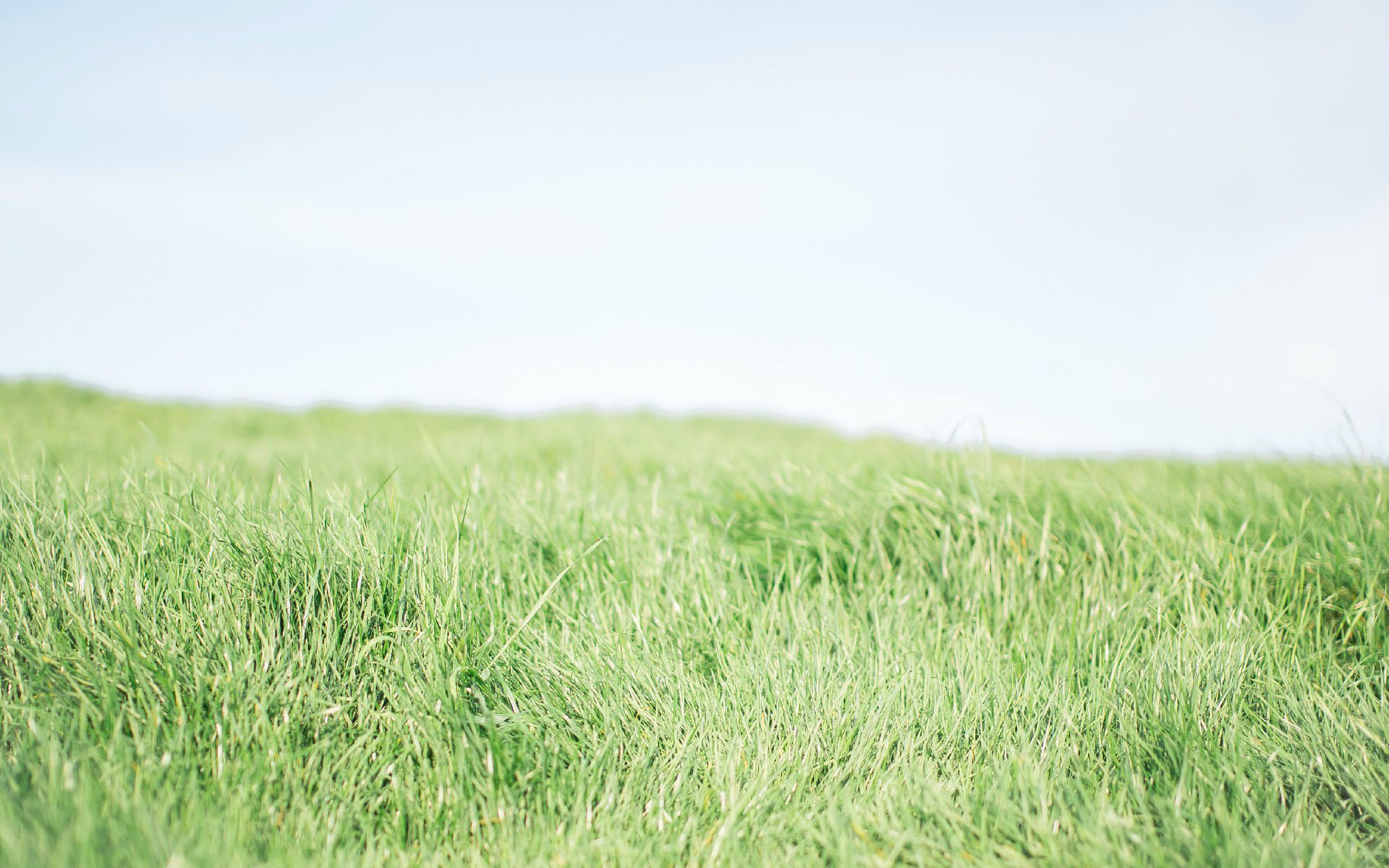 ���ռ����ں�������Ů�� ���պ�������������Ů������