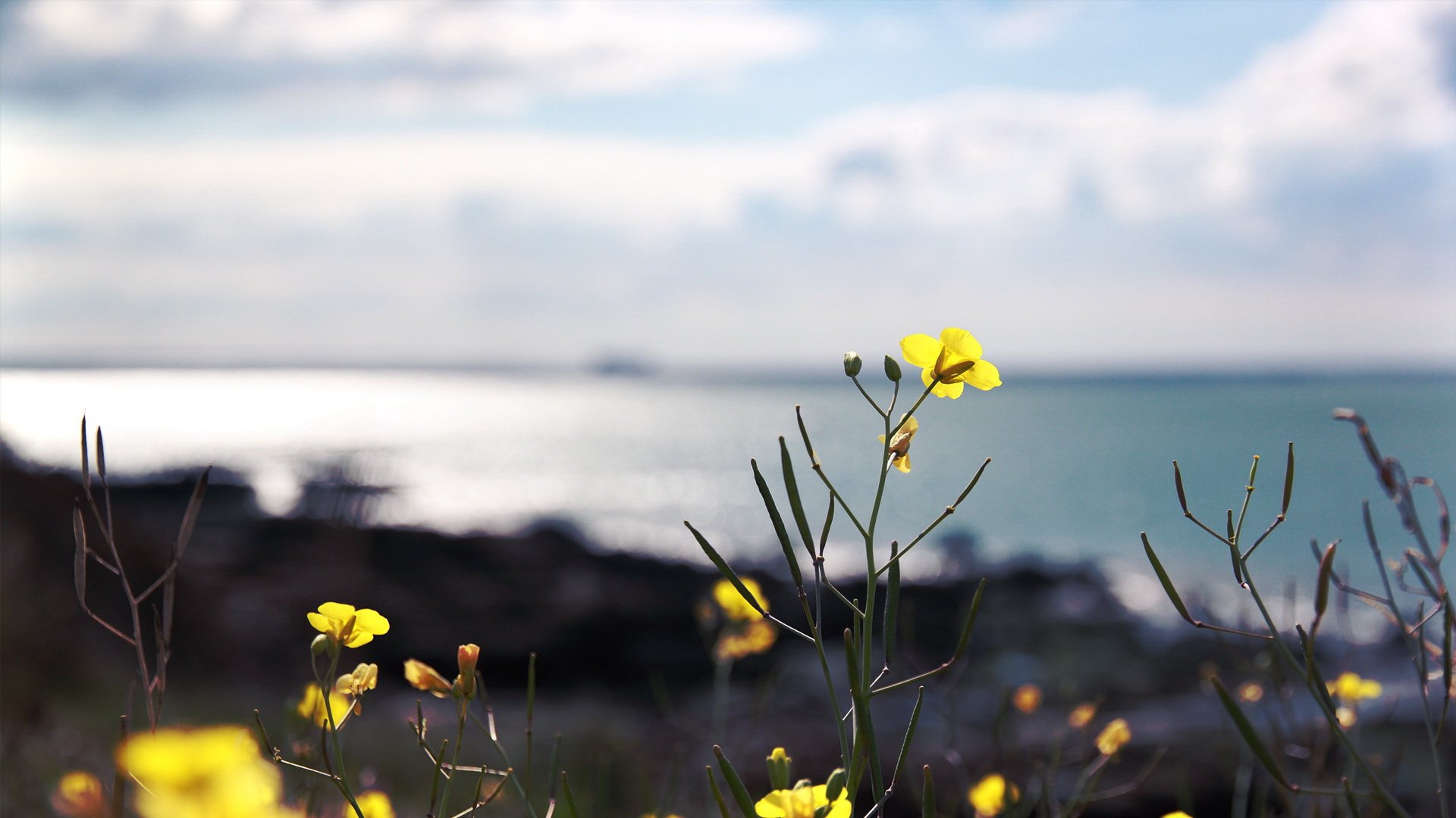 ����Ԣ��õ��к����� �����к������к��������ִ�ȫ