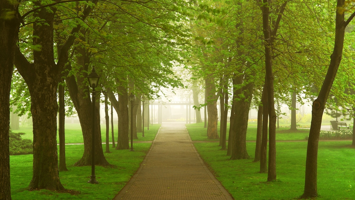 �ʺ�Ů���������Ե���������Щ ��������95�����ϵ�Ů������