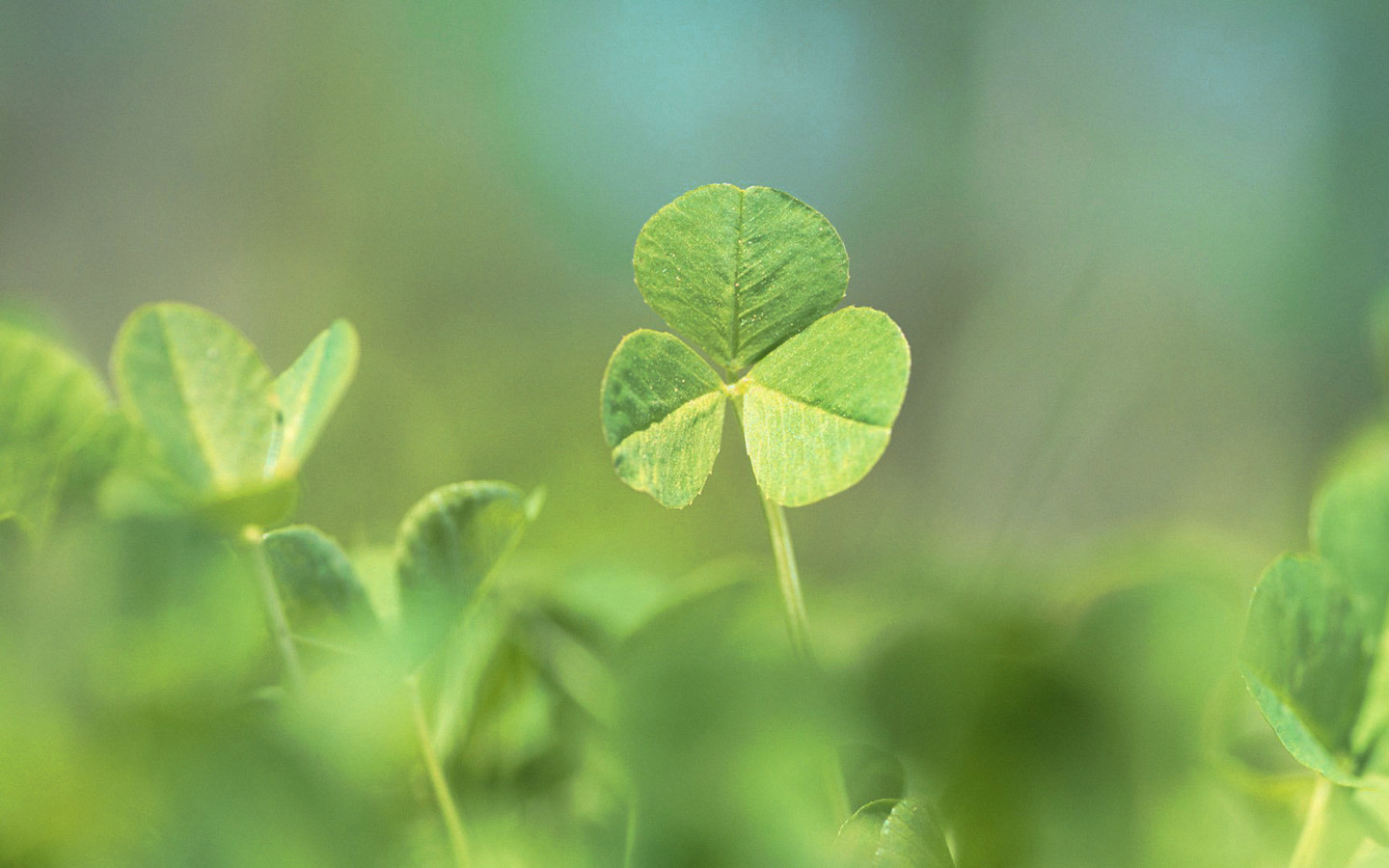 �����ֵ�Ů���������� ����ȡ���ò�����ʲô����