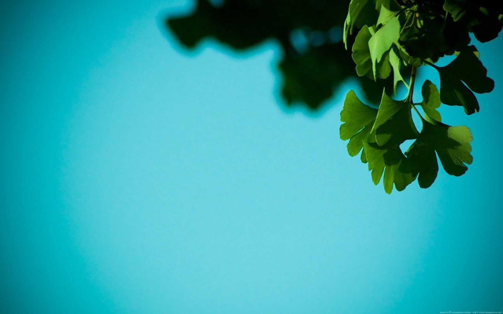 ���к�ȡ���������ֺ���ʲôԢ��?�����ִ�����к����ִ�ȫ