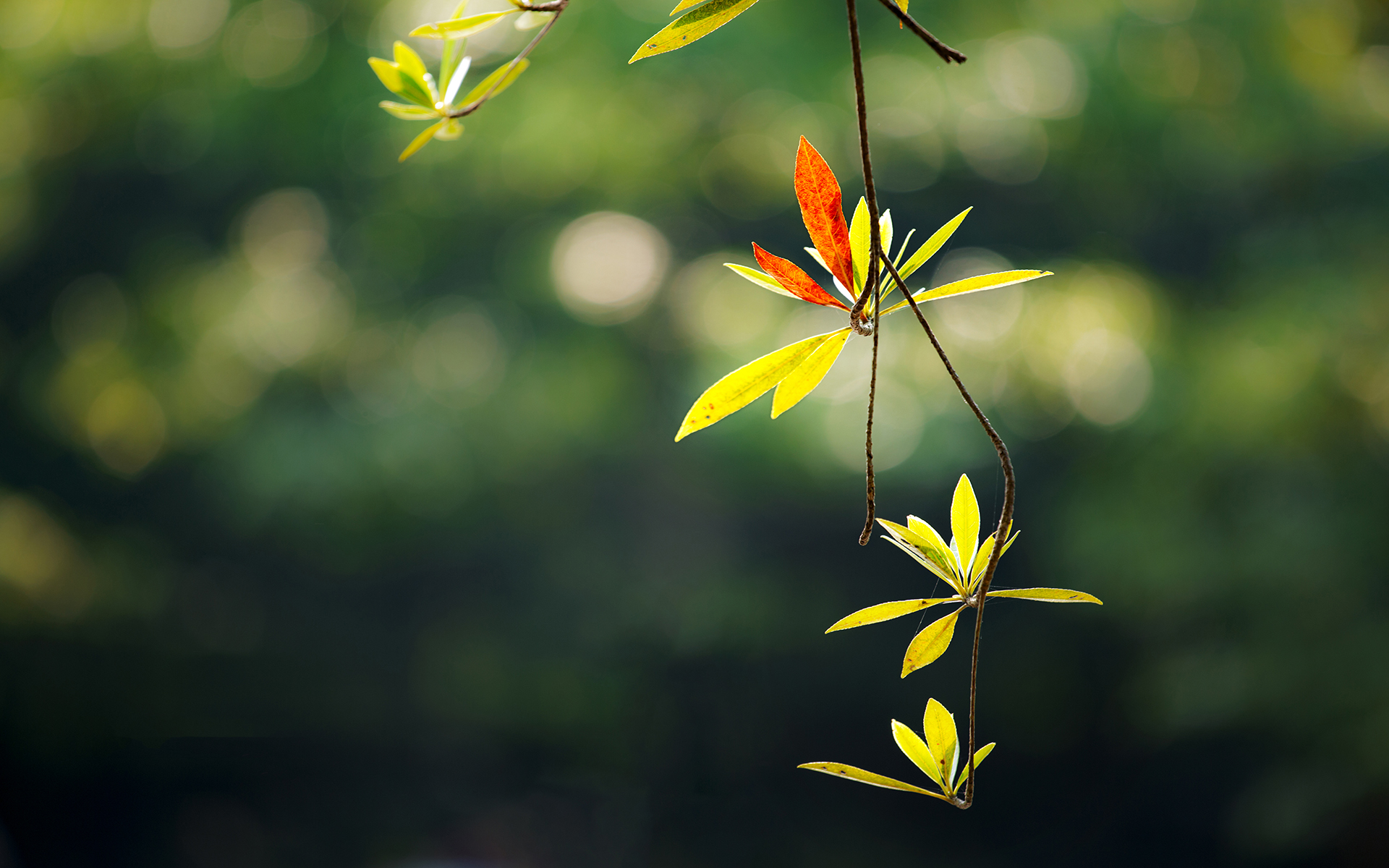 �������к����ֵĳ���������Щ �к������к��������ִ�ȫ