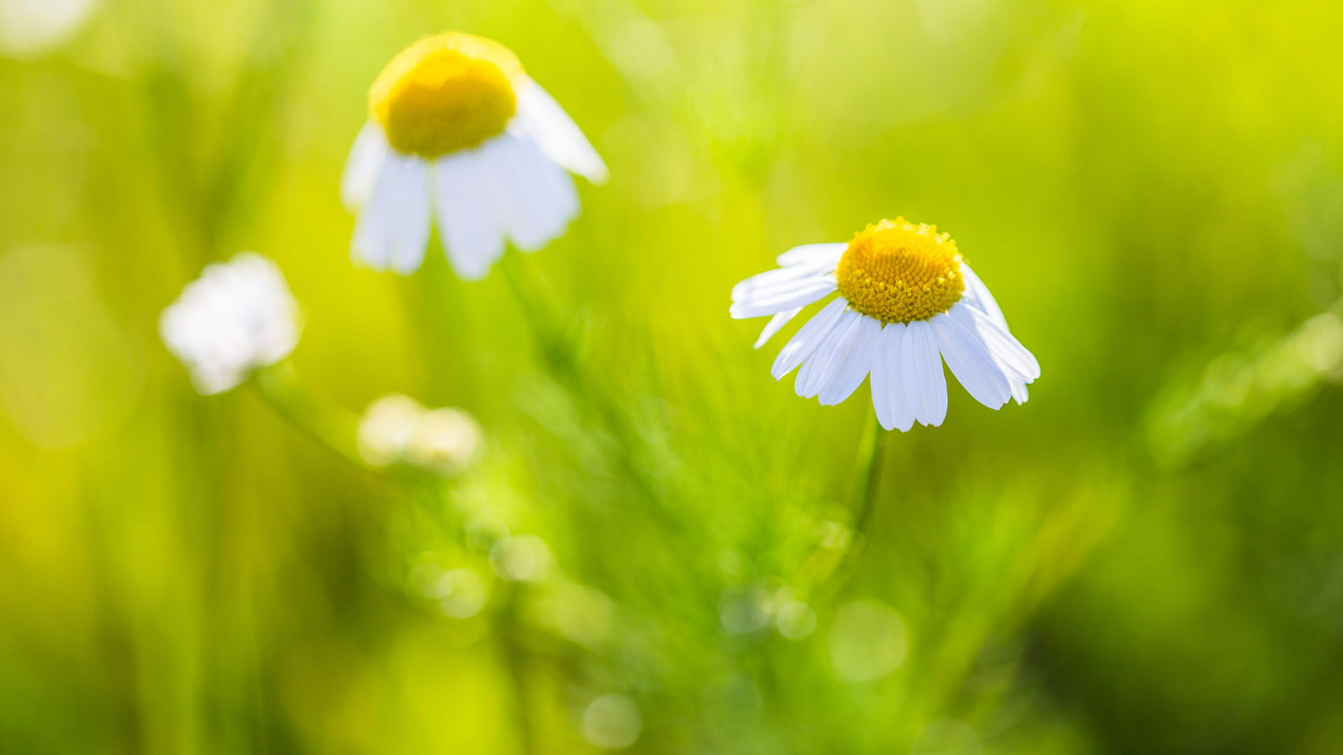 �����к���һ�޶��ĵ������� �����к��������ִ�ȫ