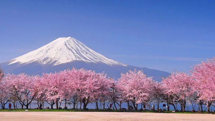 ������к�ȡʲô���ֺã������к������к�����