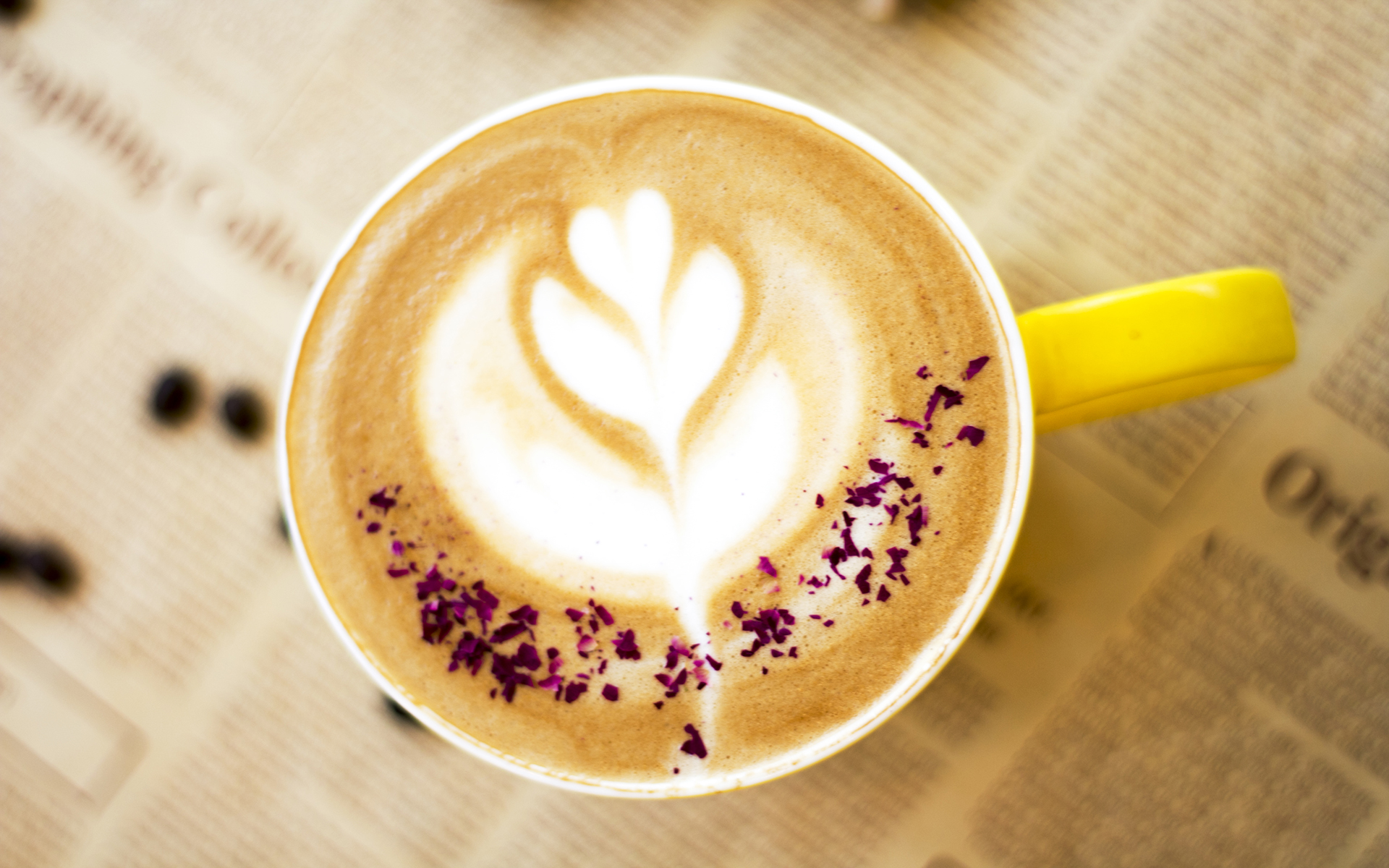 ����Ů�������ֺ������ż����� 2021ţ������Ů�����ִ�ȫ