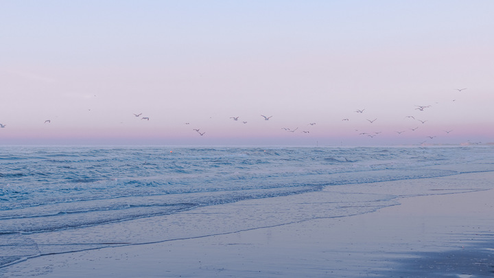 ������ϲ����к����֣�Ԣ�⼪��ϲ����к�����