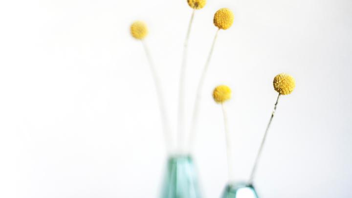 �ճ¼���Ԣ��������к���100�ֳ����к����־�ѡ