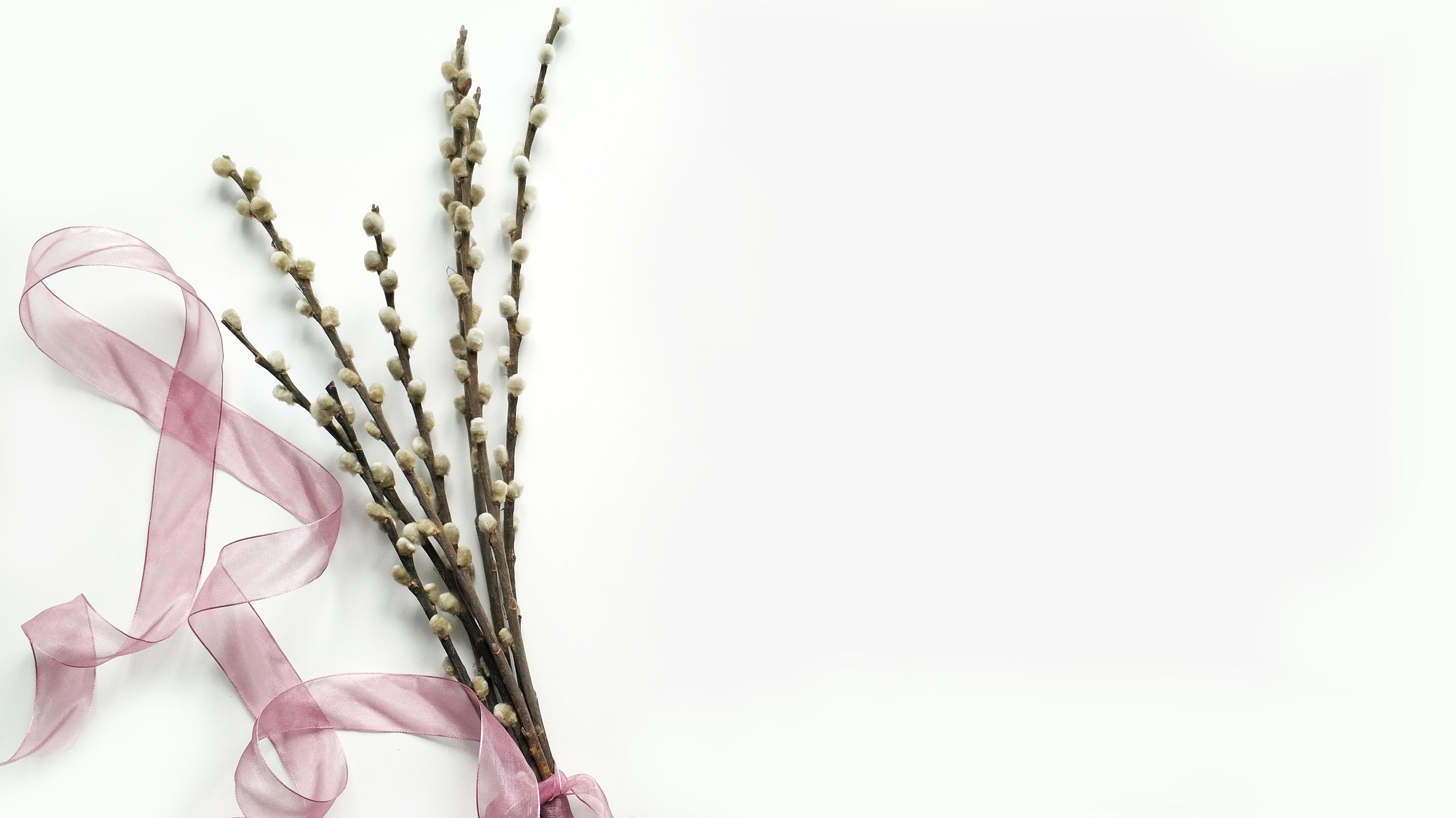 ����Ů��ȡ���µ�����֣����պ���ϡ�ٵ�Ů������