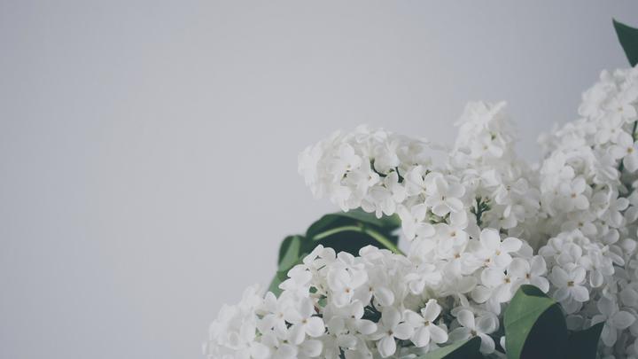 ����˳��˳���Ů�����֣�Ԣ��һ��˳����Ů������