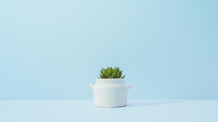 �������ʺ�Ů�����ֵ��֣��������Ժ���Ů������