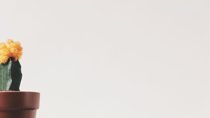 ����ȡ����ʲôԢ��������ʲô���к������ֵ����ִ�ȫ