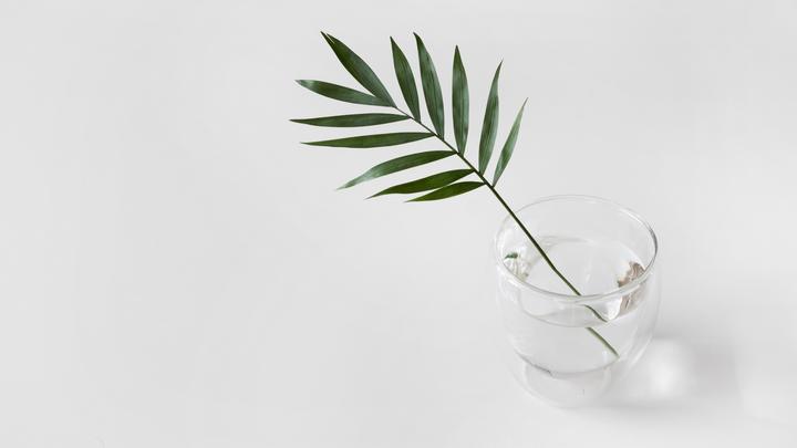 ������������ò�����ʲôԢ�⣿�����ֵ�Ů�����ִ�ȫ