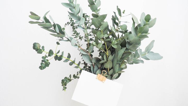 ���Ŵ������ں���Ů�����֣��������ŵ�Ů��������ȫ