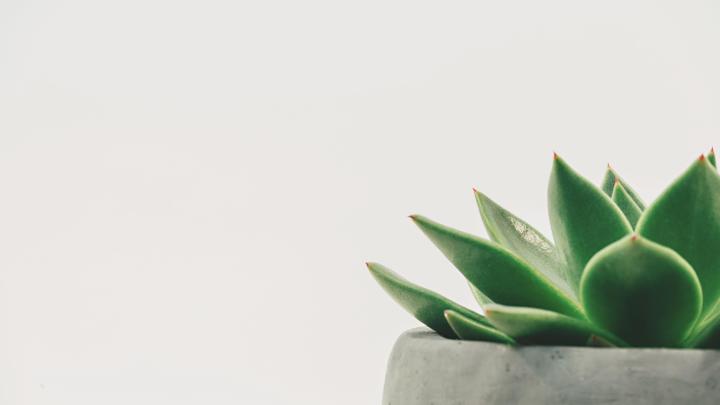 ˫��̥Ů��Ư���к��������֣�˫��̥Ů����ȡ���ִ�ȫ���