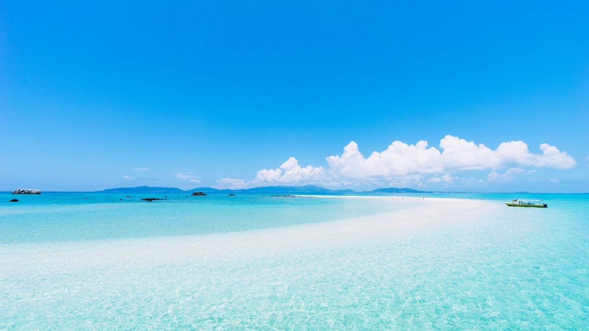 ����ʲô�ֺ����������к� ����ȡ����Ԣ��ͺ�������Щ