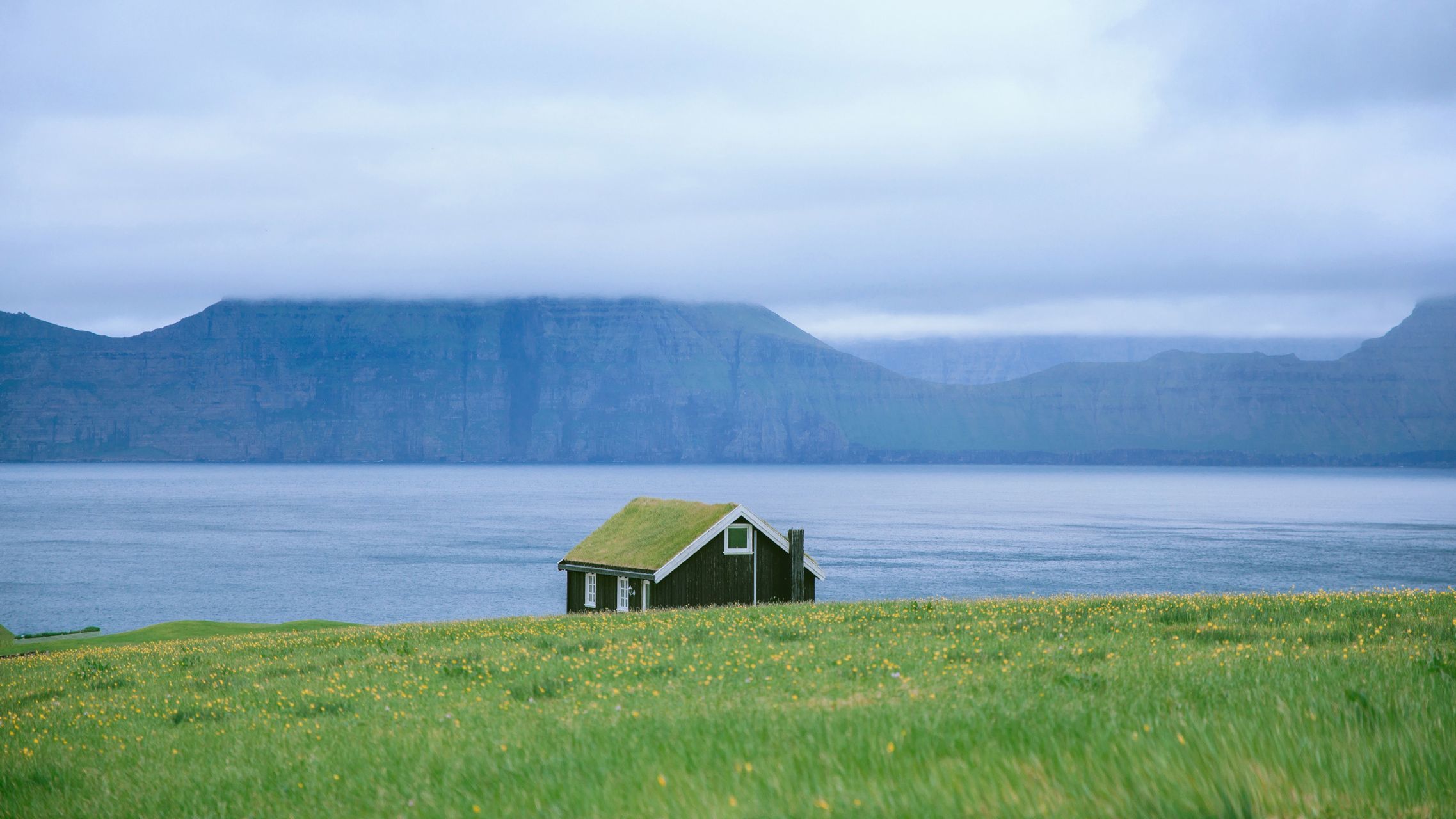 ����ȡ���ĺ���������ʲô�������ֵ��к����־�ѡ