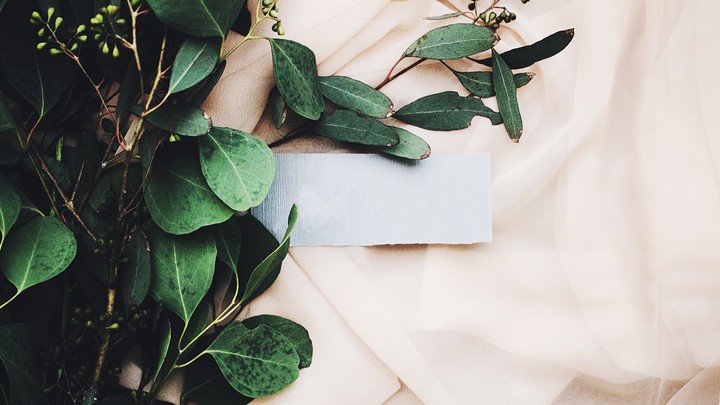 �����д����Ů�����֣�Ů�����ָ���������