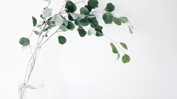 �к������˴��������֣�Ԣ����;˳��������