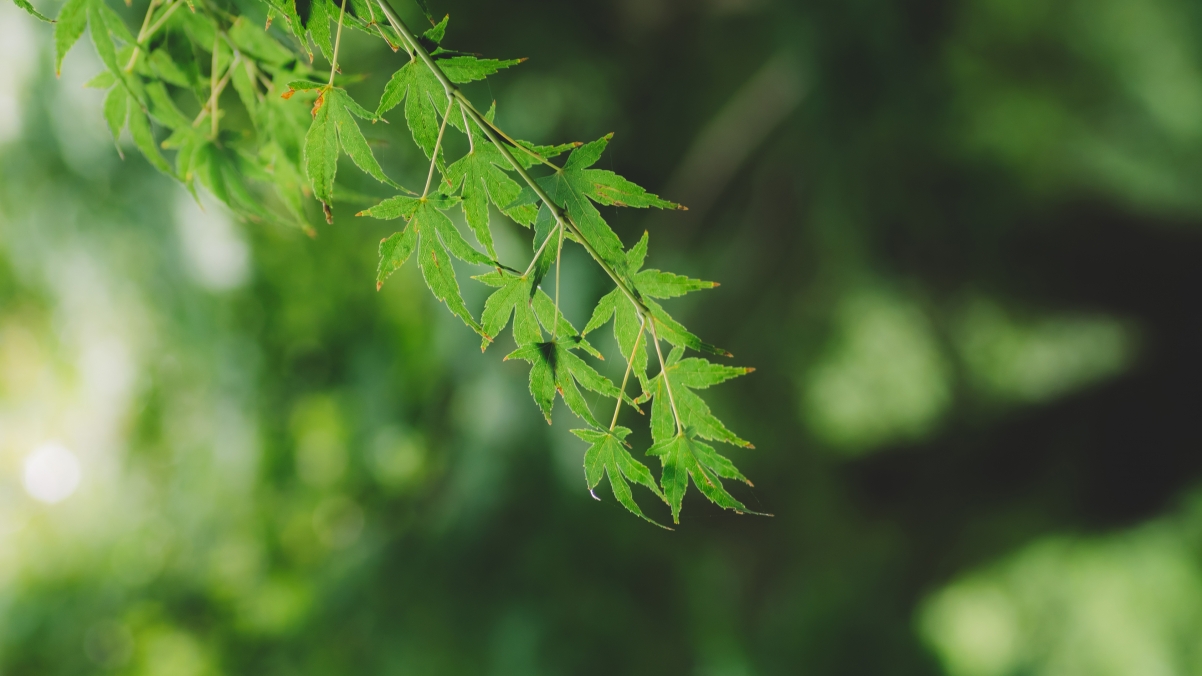 Ů���ӱ�ʾ�����ǻ۵���������Щ Ԣ��Ů���Ż����������