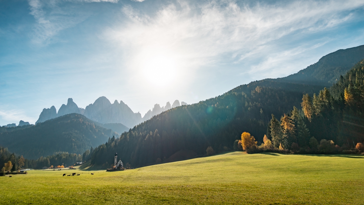 ����Ů�����ֺ������������� ���ո�������Ů�����ִ�ȫ