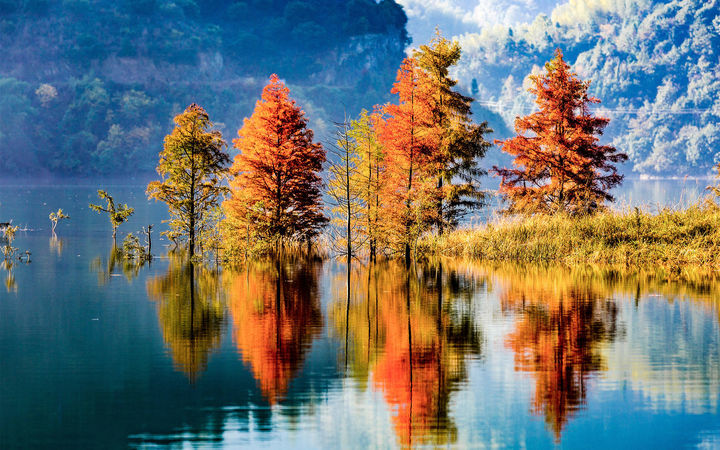 ���������к��������ĸ��ã�2022�����ջ�����ȡ����ȫ